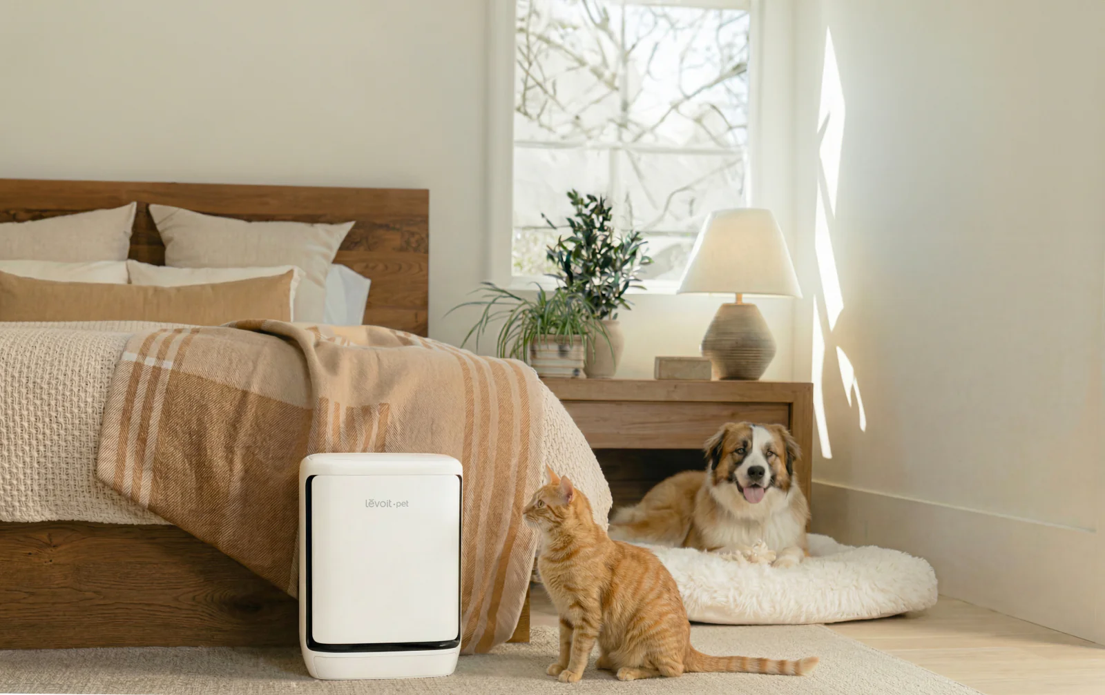 Levoit bổ sung Vital Pet Pro vào danh mục máy lọc không khí